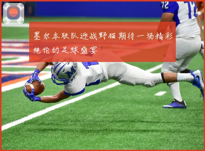 墨尔本联队迎战野猫期待一场精彩绝伦的足球盛宴