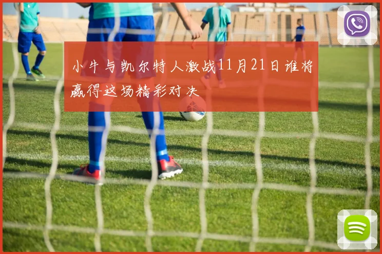 小牛与凯尔特人激战11月21日谁将赢得这场精彩对决