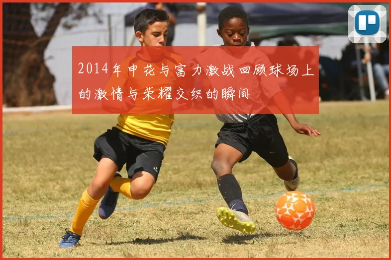 2014年申花与富力激战回顾球场上的激情与荣耀交织的瞬间