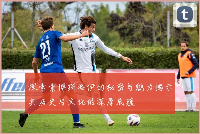 探索索博斯洛伊的秘密与魅力揭示其历史与文化的深厚底蕴