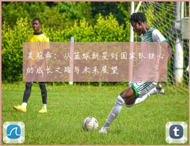 吴冠希：从篮球新星到国家队核心的成长之路与未来展望