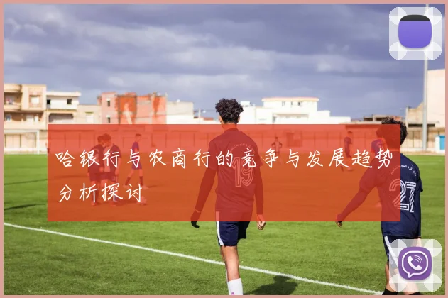 哈银行与农商行的竞争与发展趋势分析探讨